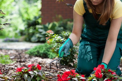Manager following up on a resolved tree surgery complaint