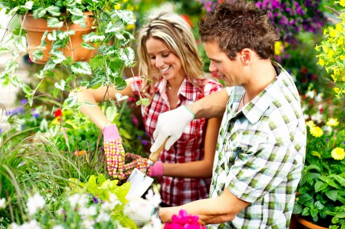 Arboricultural experts in Penge providing skilled tree surgery services
