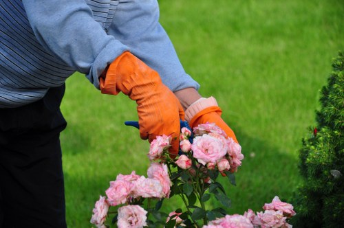 Local hedge cutting service for a tidy outdoor space in Penge