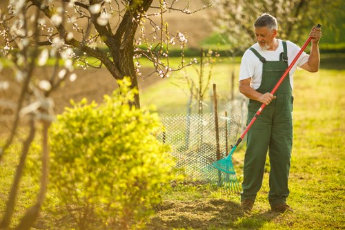 Experienced tree surgeons in Penge planning a safe tree removal