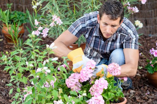 Annual review of modern slavery policy for tree surgery business